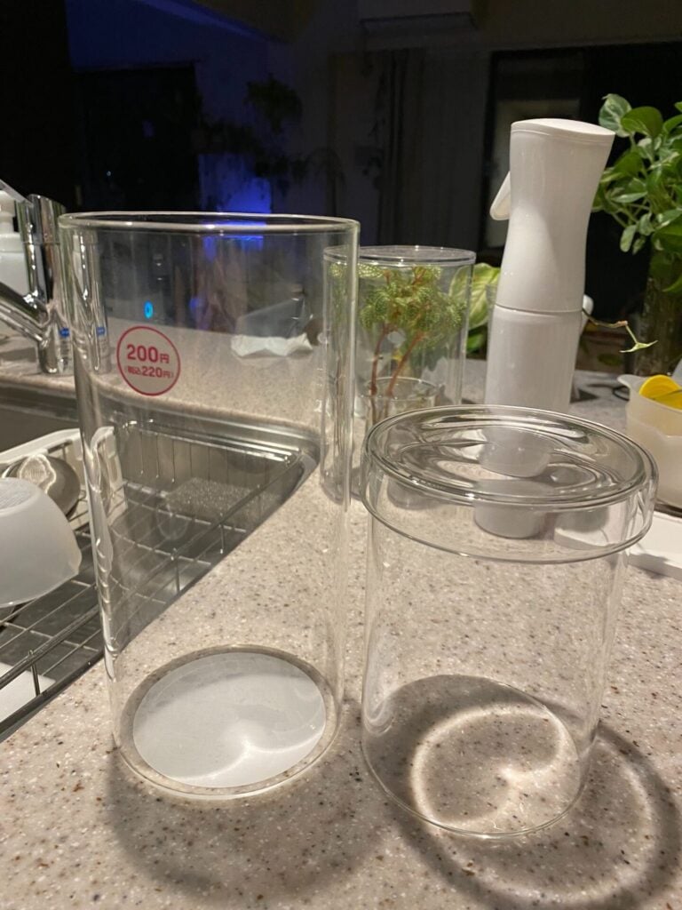 Weck 100均で見つけたおすすめアイテムまとめ