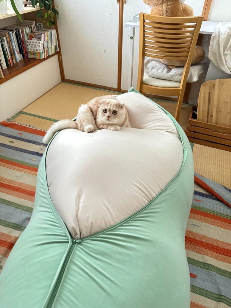 ヨギボー カバー 40%オフでお得に模様替えしよう