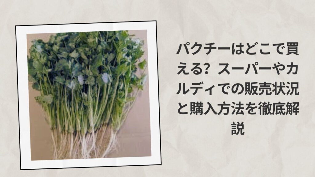 パクチーはどこで買える