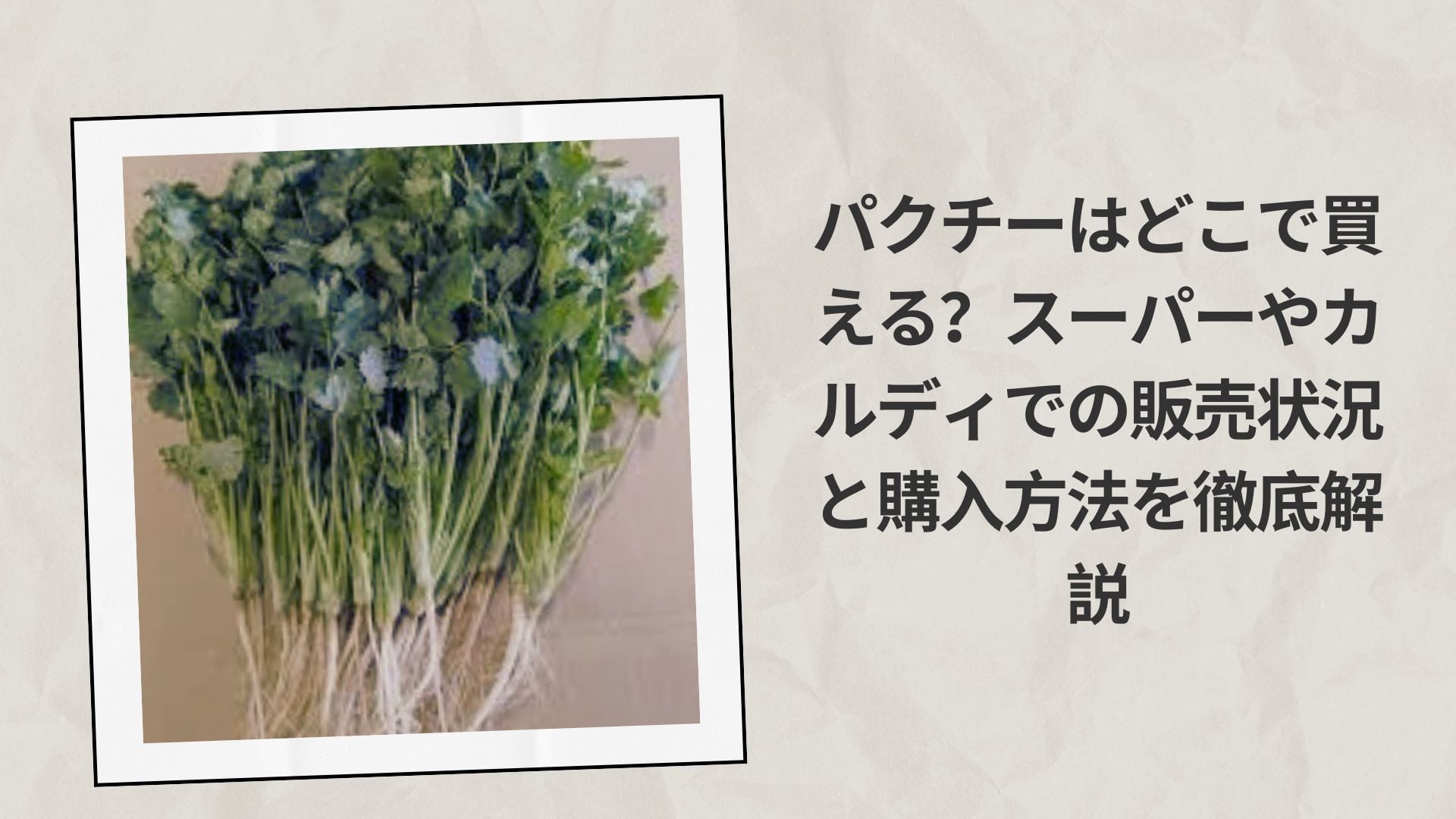 パクチーはどこで買える