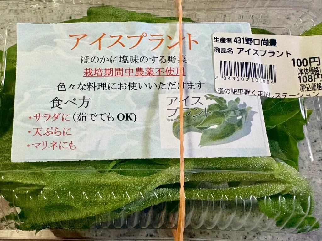 アイスプラントとは?注目の機能性野菜の特徴