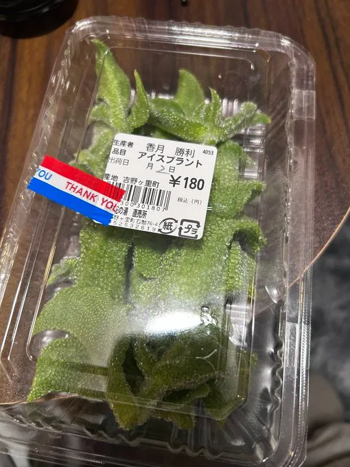 道の駅でのアイスプラント販売