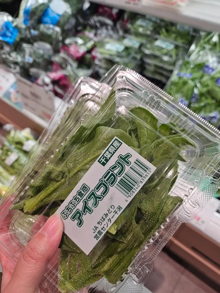 オンラインショップでアイスプラントを購入する方法