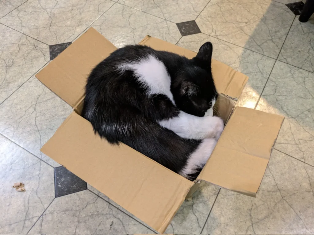 地域別の購入のしやすさ