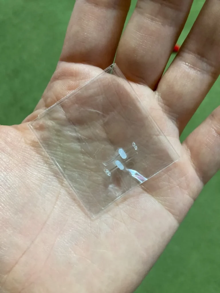 オンラインで透明ピアスを購入する方法