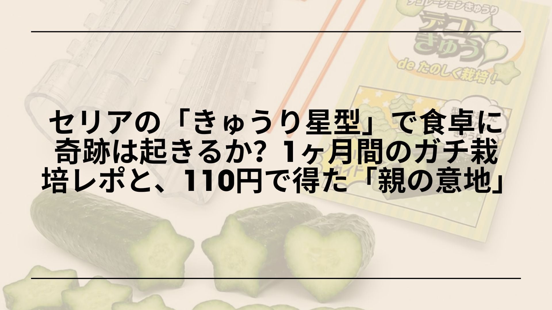 【実録】セリアの「きゅうり星型」で食卓に奇跡は起きるか？1ヶ月間のガチ栽培レポと、110円で得た「親の意地」