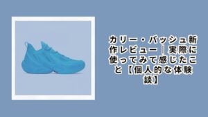 カリー・バッシュ新作レビュー｜実際に使ってみて感じたこと【個人的な体験談】