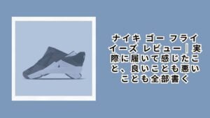 ナイキ ゴー フライイーズ レビュー｜実際に履いて感じたこと、良いことも悪いことも全部書く